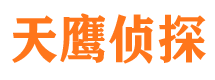 万秀市侦探公司